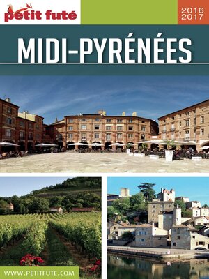 cover image of MIDI-PYRÉNÉES 2016/2017 Petit Futé
